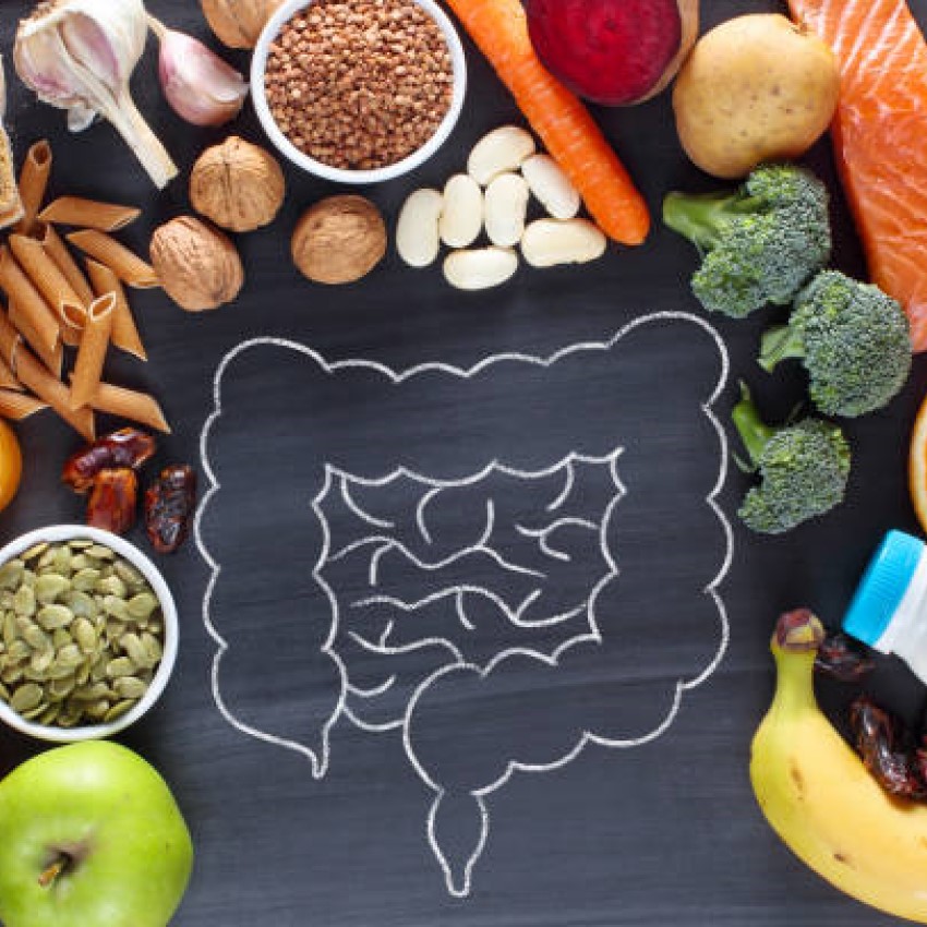 Probiotics For Digestive Health | Probiotics Learning Lab