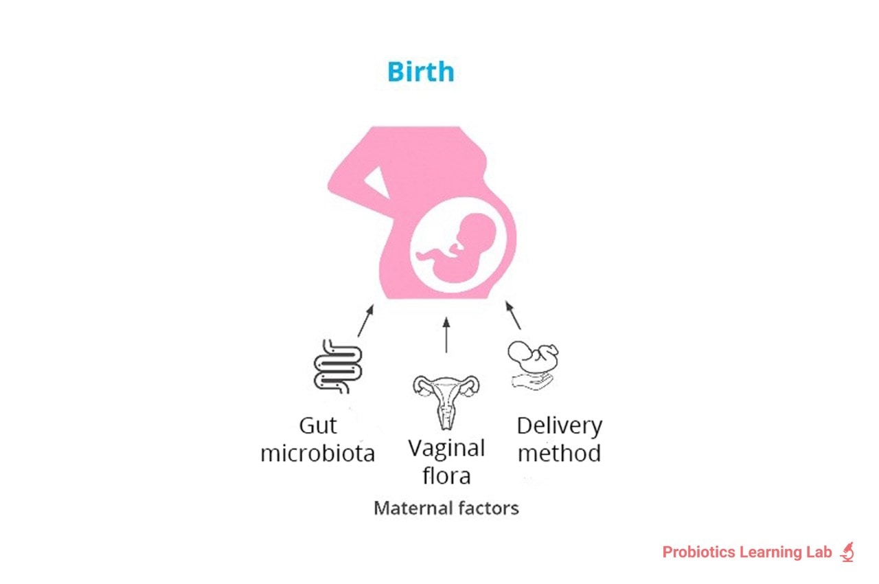 Probiotics For Pregnancy